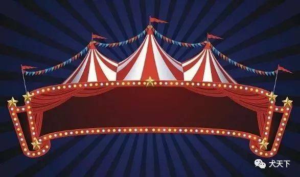 意大利著名驯兽师彩排时遭4老虎围攻凌虐致死