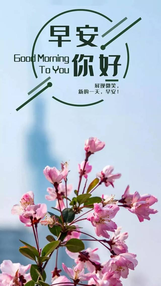 早安晚安朋友圈发圈素材与文案!