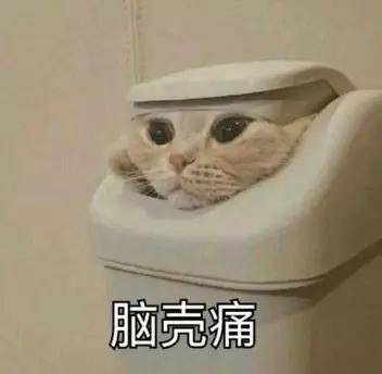 为什么猫的反应速度比人快,但是逗猫的时候看