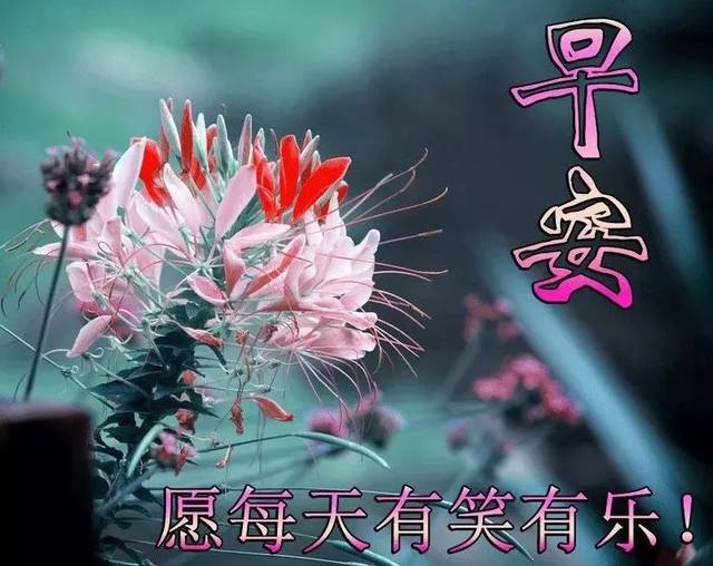 7月早上好图片 夏季好看的早上好表情包