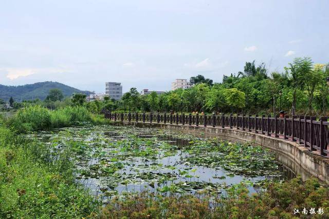 潮州新景点——官塘镇鹤塘公园