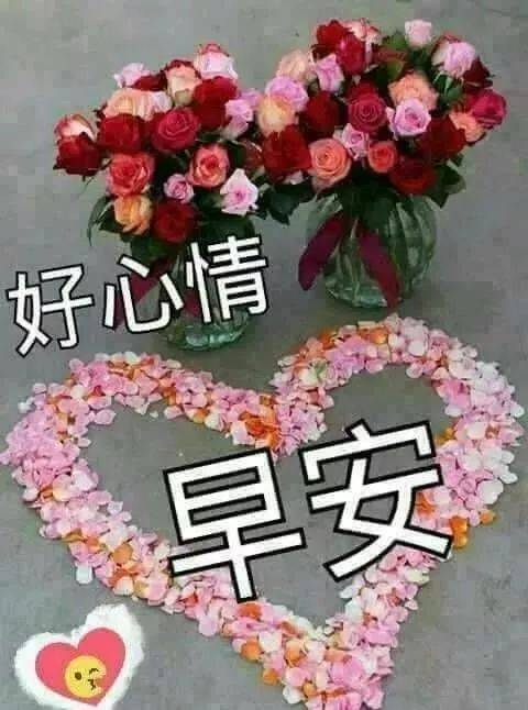 星期二最美早安问候语图片带字温馨,早上好动态表情图片