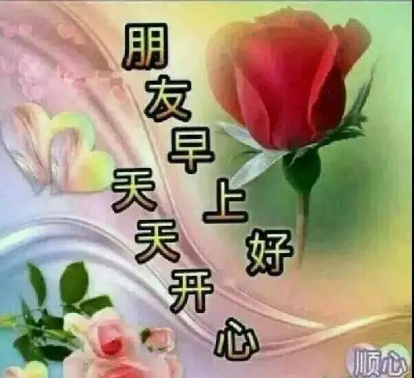 星期二最美早安问候语图片带字温馨,早上好动态表情图片