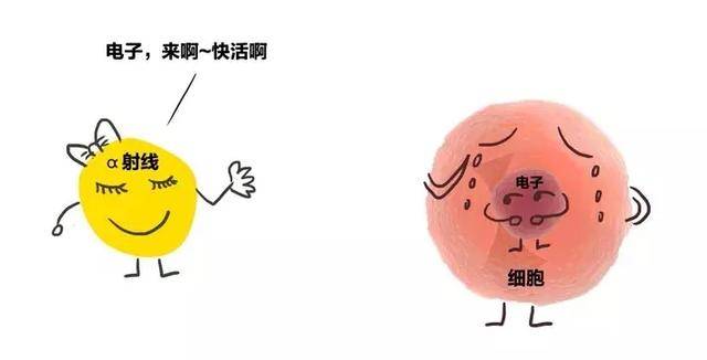 医院常见检查辐射排行榜,一年做CT最好