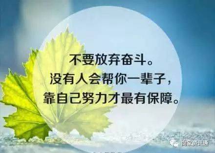 好消息!岳西这期培训过几天就要开班了…(最新发布)