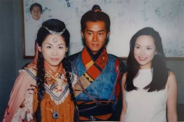 《餐餐有宋家》《天地男儿》《刑事侦缉档案iv》等电视剧