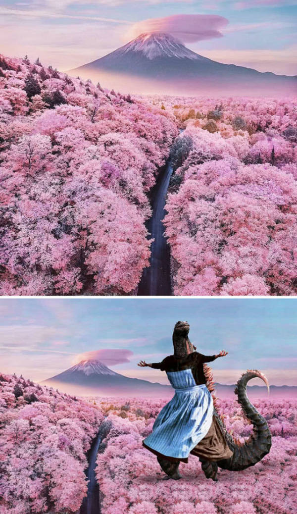 (粉红色的富士山,极美似仙境,再加上一只萌萌的反差极大的怪兽,破坏了