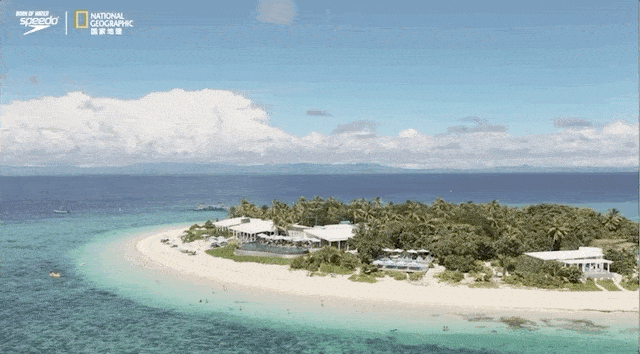 免签直飞,上榜lp2019年度榜单,私藏超