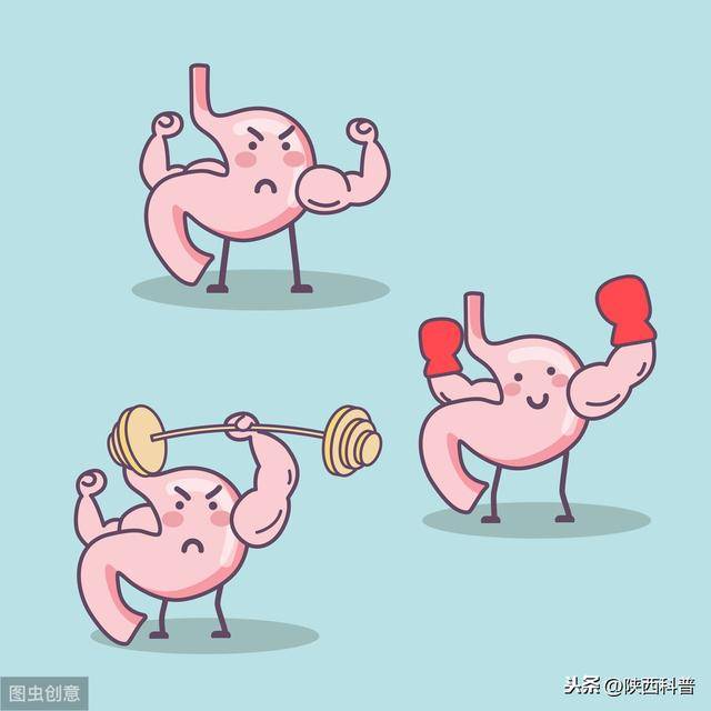 胃酸向上运动就会反酸;气体向上运动就会打嗝,呃逆; ②胃动力不足