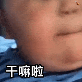 各种有趣的斗图表情包呀_手机搜狐网