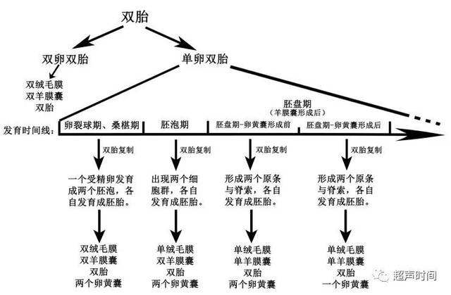 再谈多胎妊娠的卵黄囊数与胎儿数的关系