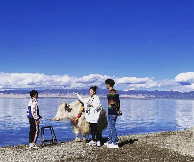贾静雯修杰楷到青海工作,大赞是人间仙境,为彼