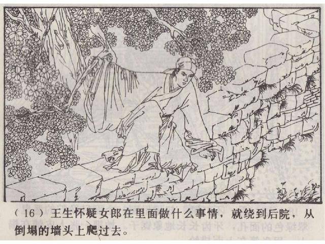 五万部经典连环画库珍藏版-聊斋志异29画皮