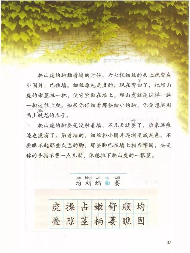 统编版四年级上册语文电子课本(高清版)