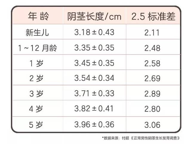 男宝私处说明书:包皮,蛋蛋,小 jj,这些问题必须得知道