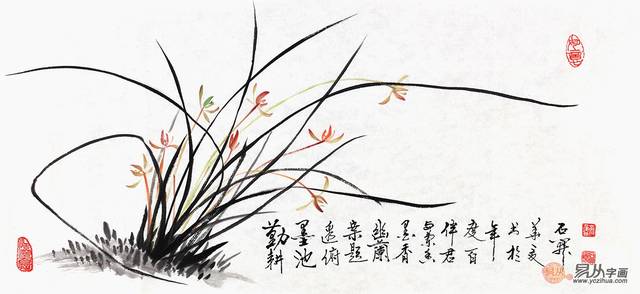 名家梅兰竹菊四君子国画,画家石开作品集