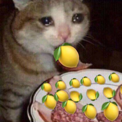 歪果仁说你As cool as a cucumber,难道在