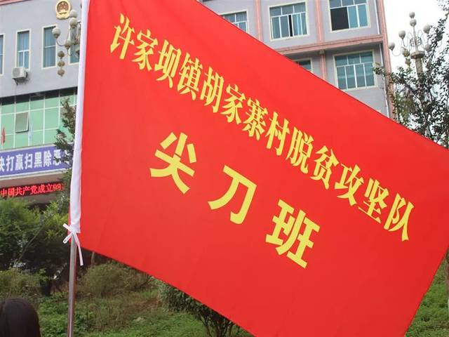 许家坝镇:组建44个"尖刀班"向脱贫攻坚发起总攻