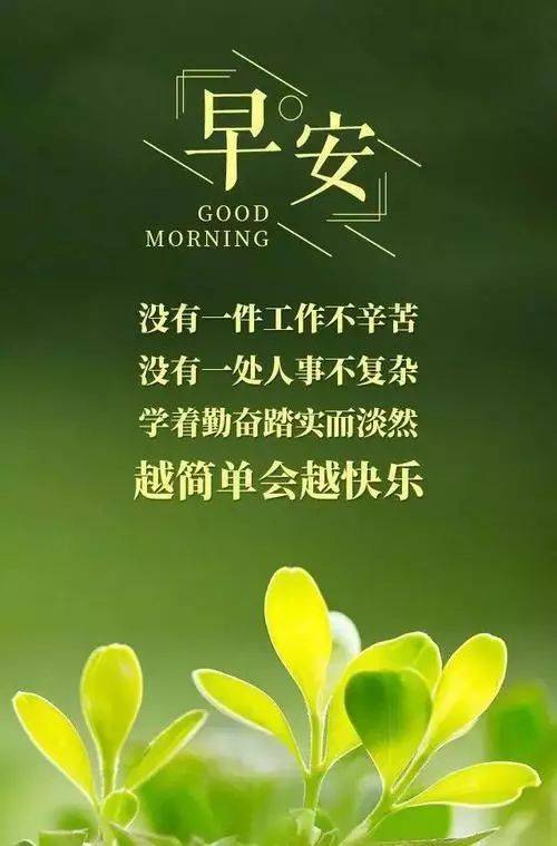新的一天开始精美励志语句 早安最美的心情语录