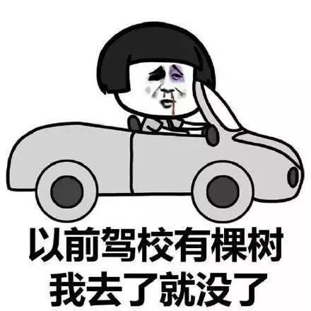 刹车!刹车!妻子错踩油门,丈夫绝望六连吼.