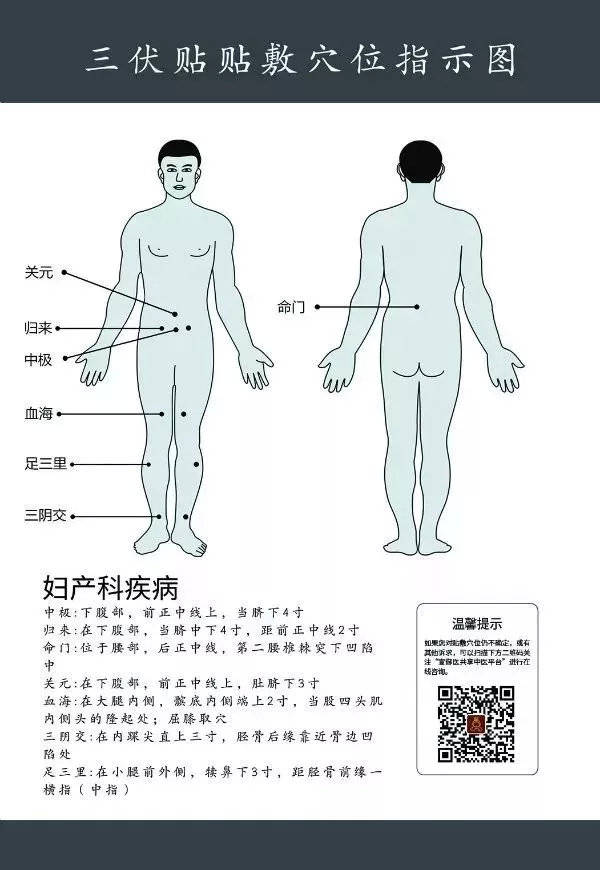 三伏贴"注意事项"及"贴敷穴位图"详解!