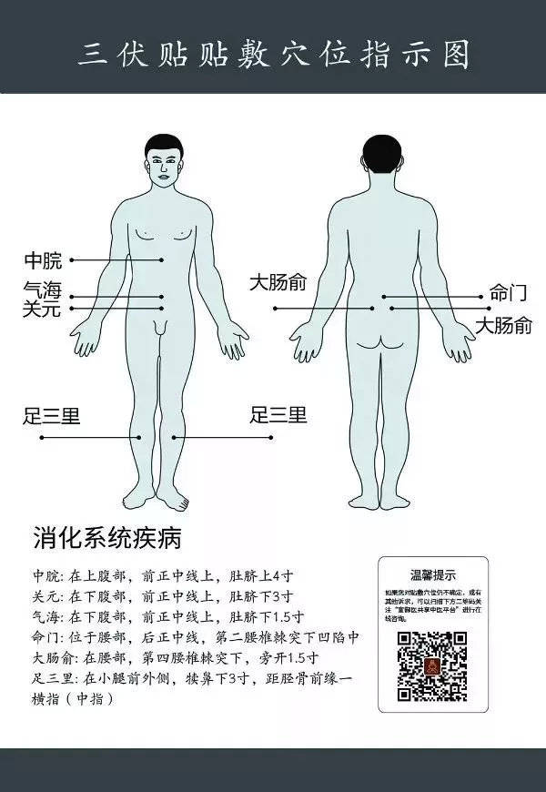 三伏贴"注意事项"及"贴敷穴位图"详解!