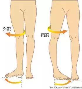 而如果大腿过度内旋, 大腿外侧的肌肉参与程度很高, 它就会越来越