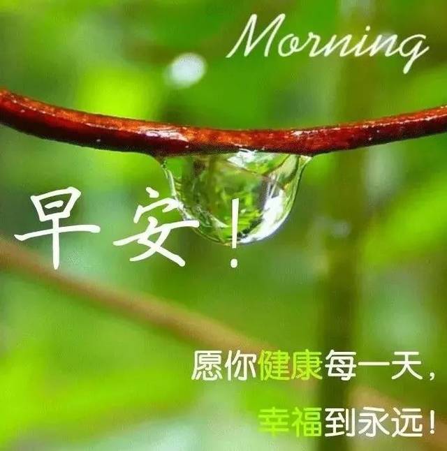 今日早上好的问候语和关心话 早上好图片祝福句子