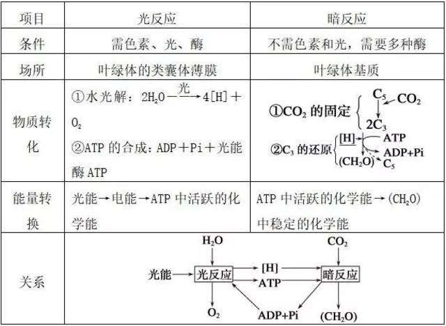 高中生物知识点能量之源光与光合作用知识点