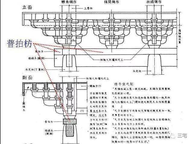 百科普拍枋位于阑额之上柱头之间呈t字形