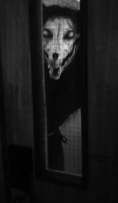 超自然怪物组织,SCP最恐怖10大收容物大揭秘