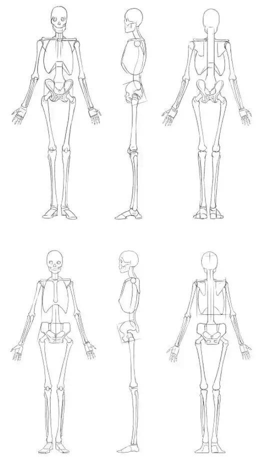 绘画中的骨骼肢体详细画法!想进阶的绘画初学者可以看看