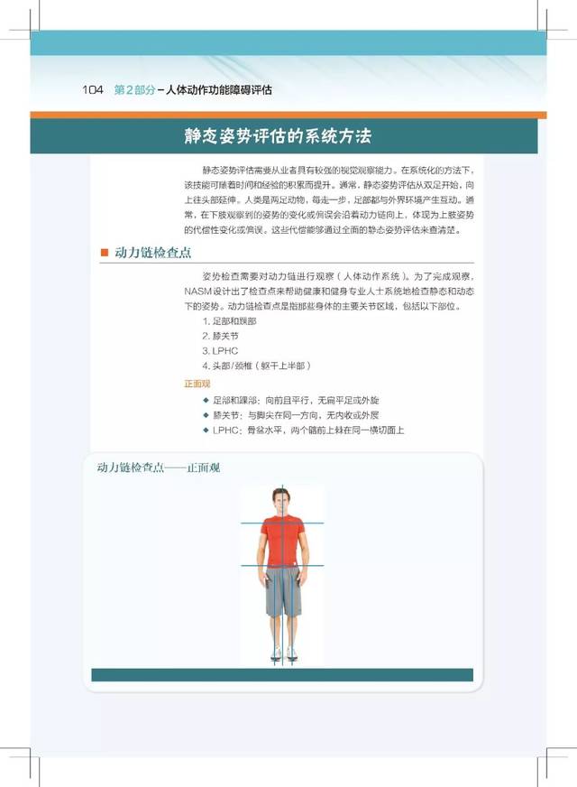 (人体动作科学简介) (静态姿势评估) 第四部分针对具体身体部位(足踝