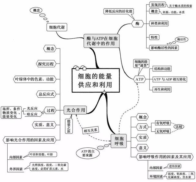 学霸整理!20张生物思维导图最全版本