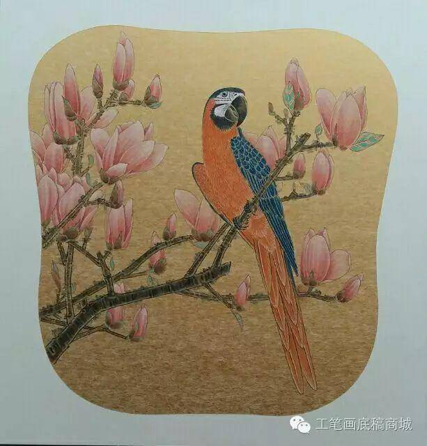 顾军工笔花鸟鱼虫国画欣赏