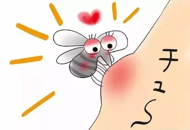 蚊子为啥爱咬你,还傻傻地认为是血型的原因?