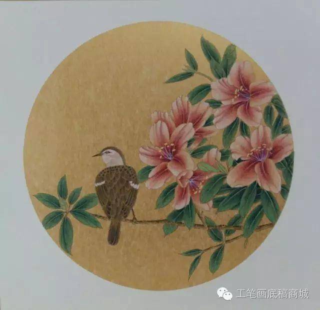 顾军工笔花鸟鱼虫国画欣赏