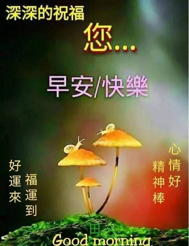早上好问候祝福短信,最新早上好动态祝福图片表情