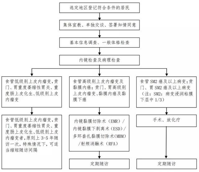 具体流程图