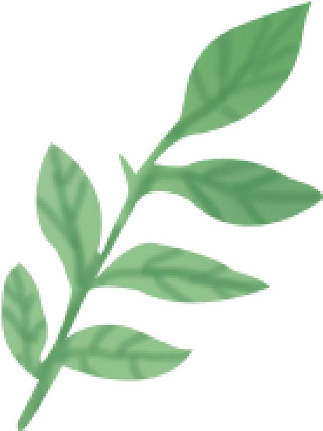 记忆留夏,梦想在望--龙凤首缘伟才幼儿园毕业典