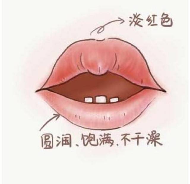 口唇淡白,为脾气虚寒;口唇红赤为脾火上炎,体内有积热;润色发淡而湿润