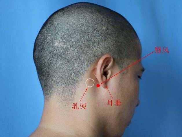 定位:在前臂后区,腕背侧远端横纹上 3 寸,尺骨与桡骨间隙中点.