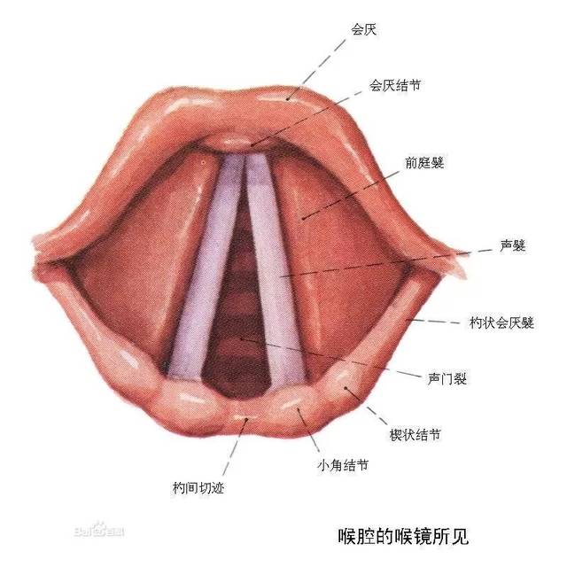 气管插管拔出后,出现声带麻痹!身为麻醉医师的您,这个