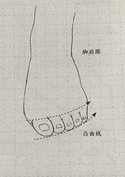 人物的脚怎么画