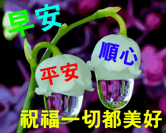 ʺȺϺƯĶ̬ףͼƬ,糿ܰף̬ͼƬ