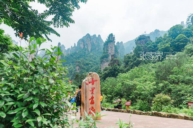 张家界旅游,最近一周的天气情况