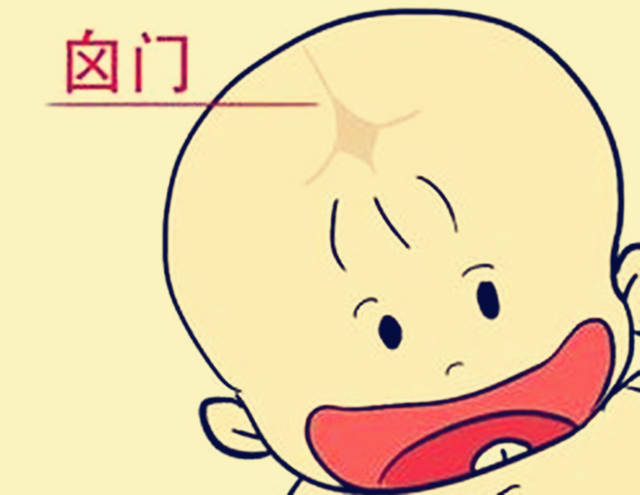 二,囟门何时长好闭合