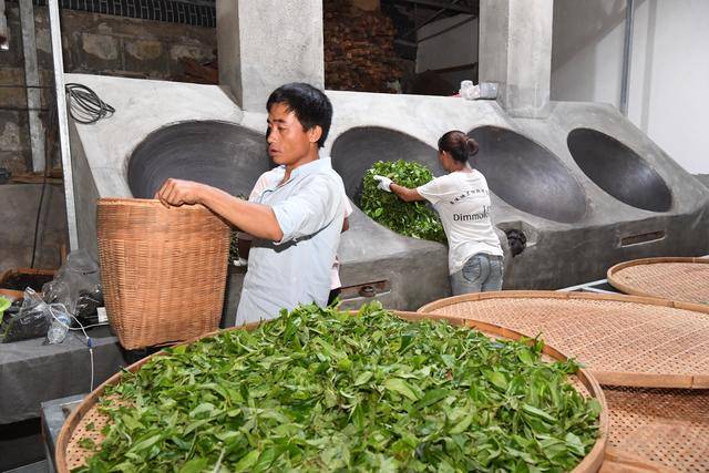 云南双江勐库茶农刁成国的纯手工制茶房