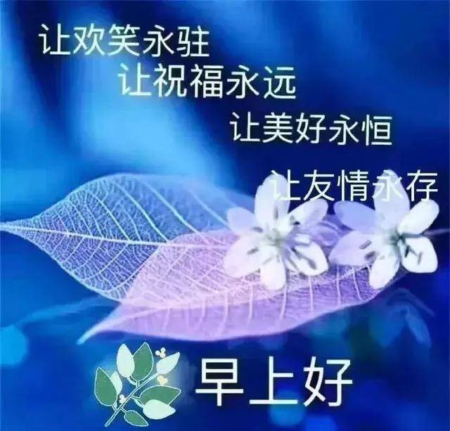 早晨问安:回望,岁月苍老,永恒的是初见的明媚与温暖,早晨好