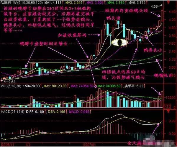 四,倒挂老鸭头形态